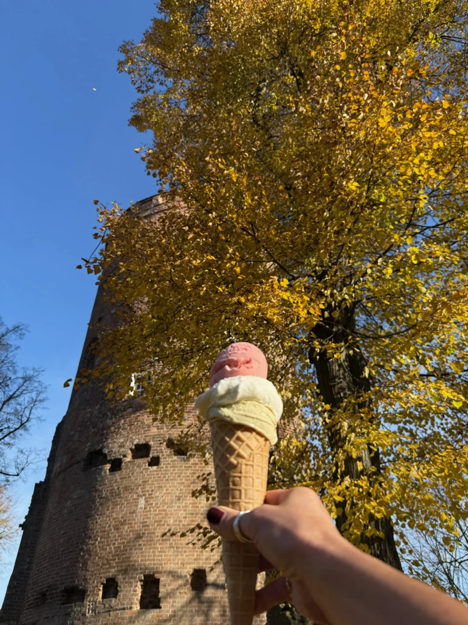 Eis vor dem Lüchower Amtsturm – regionale Verbundenheit